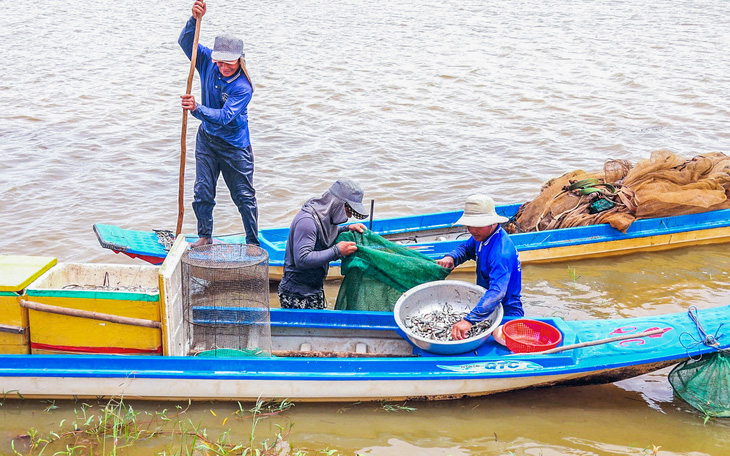 Mực nước đầu nguồn Đồng bằng sông Cửu Long vượt mức báo động I   - Ảnh 3.