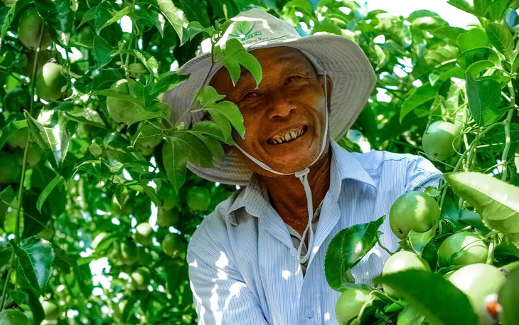 Nông dân Việt Nam xuất sắc 2024 làm gì mà lời tới 20 tỉ đồng/năm? - Ảnh 3.