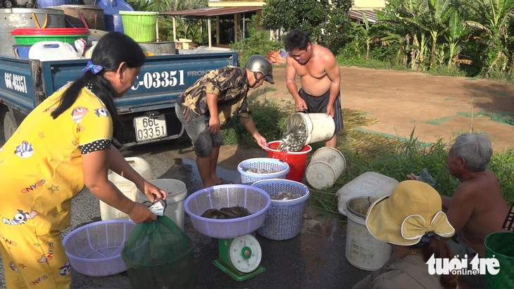 Ngư dân miền Tây 'hốt bạc' nhờ mùa nước nổi - Ảnh 4.