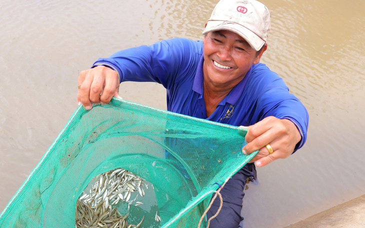 Nhộn nhịp chợ cá mùa nước nổi giấc nửa đêm - Ảnh 8.