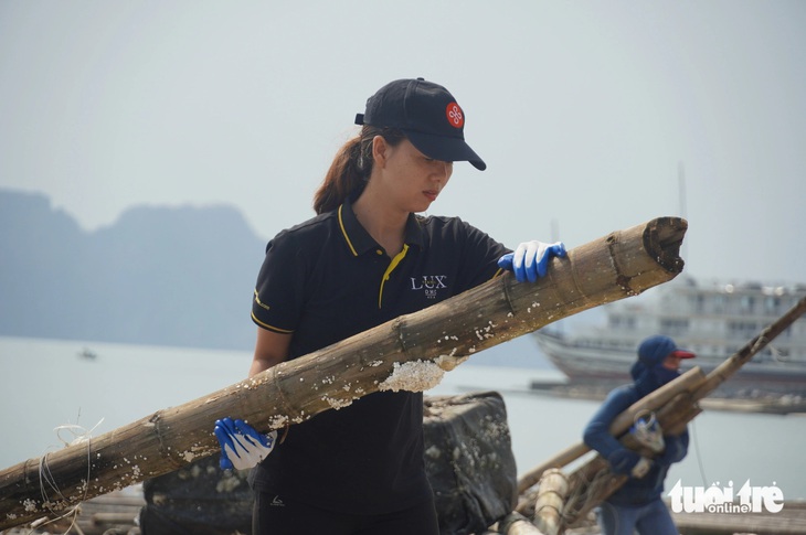 Thiên đường du lịch biển Hạ Long còn ngổn ngang rác, dân lập team công ích làm sạch biển - Ảnh 2.