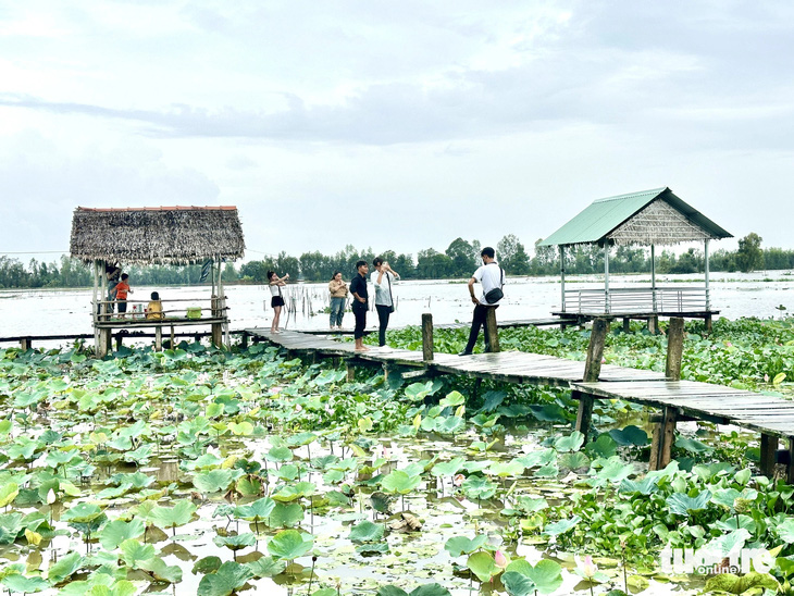 Trải nghiệm mùa nước nổi miền Tây và những món ngon hút hồn - Ảnh 1.