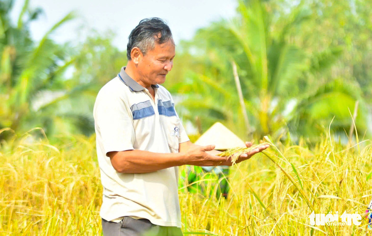 Ông Lê Quốc Việt phục dựng lúa mùa ở Kiên Giang được công nhận ‘nhà khoa học của nhà nông’. - Ảnh 1.