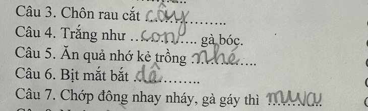 Ảnh vui 24-9: Nho Mỹ nhưng được trồng ở... Mỹ Đình - Ảnh 3.