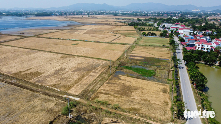 Cánh đồng lúa 'chết', không bóng người, bốc mùi hôi thối vì lũ ngập sau bão - Ảnh 6.