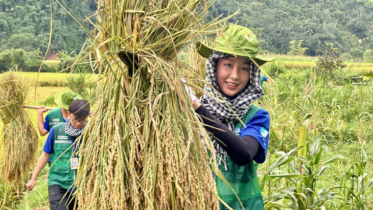 Thùy Tiên, Kỳ Duyên, Bảo Ngọc về vùng bão lũ thu hoạch lúa, sửa chữa nhà giúp dân - Ảnh 1.