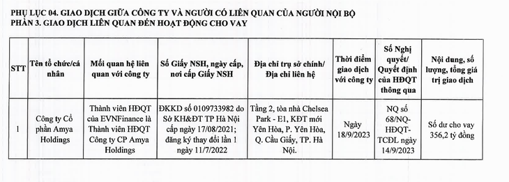 EVNFinance ‘rót’ gần 25.000 tỉ vào nhóm khách hàng cùng tòa nhà hoặc cùng người đại diện - Ảnh 5.