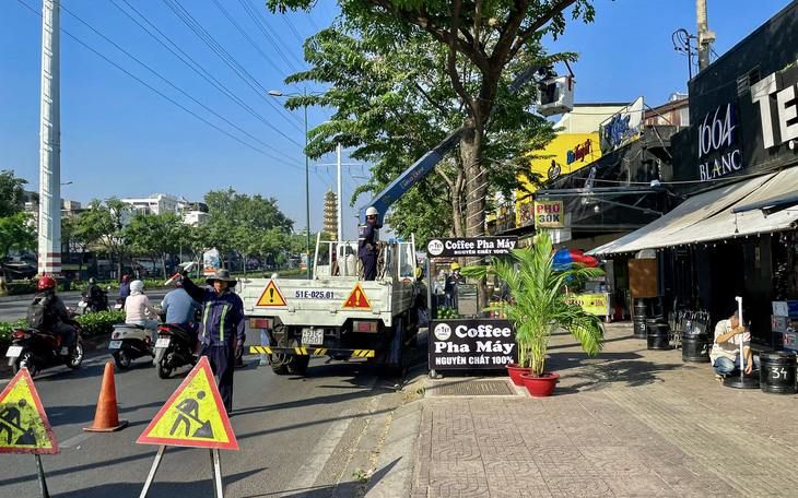 Nhiều cây xanh ở trung tâm TP.HCM bị cắt trụi lủi - Ảnh 9.