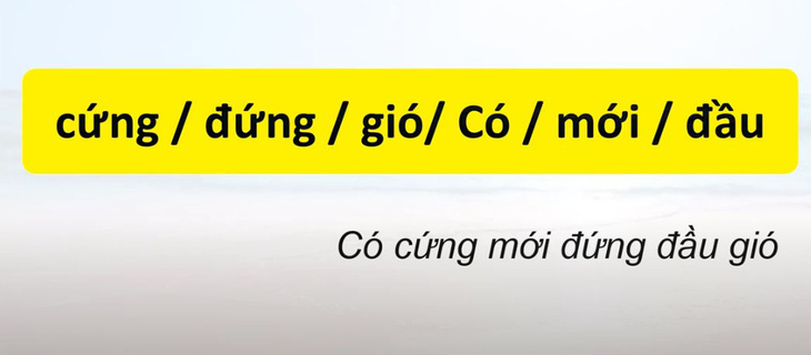 Thử tài tiếng Việt: Sắp xếp các từ sau thành câu có nghĩa (P138) - Ảnh 1.