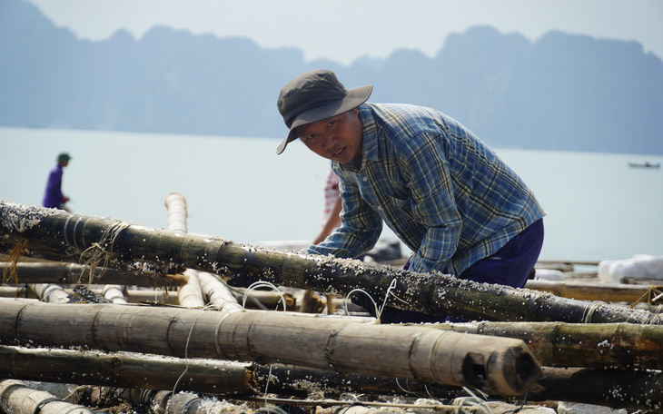 Thủ tướng: Làm việc cả ngày thứ Bảy vì đồng bào bão lũ, sớm khắc phục hậu quả thiên tai - Ảnh 4.