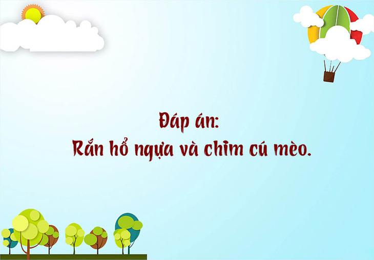 Con gì trong có thịt, ngoài có xương? - Ảnh 1.