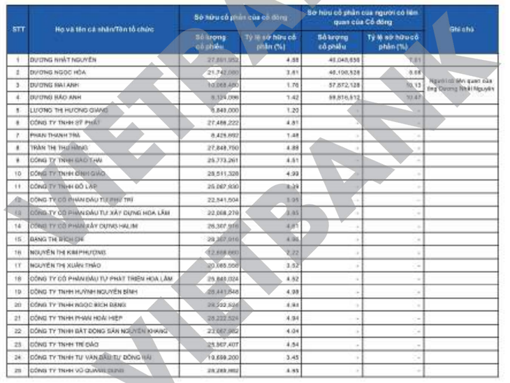 Hoa Lâm nắm bao nhiêu vốn tại Vietbank? - Ảnh 2.