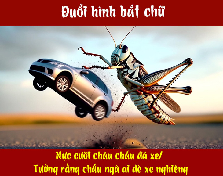 Câu ca dao, tục ngữ 'khó nhằn' này là gì? (P71) - Ảnh 1.