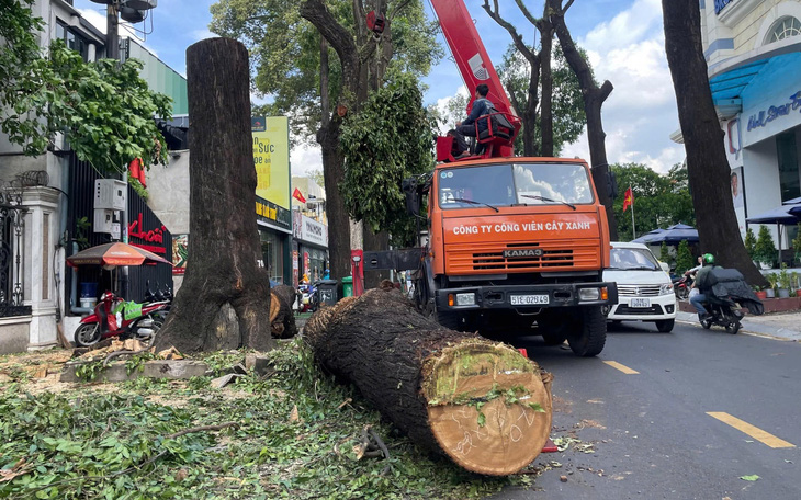 Siêu thị tăng nguồn cung hàng hóa trước bão Yagi đến - Ảnh 3.