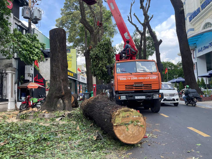 TP.HCM đã lên kế hoạch ứng phó mưa to do ảnh hưởng bão số 3 - Ảnh 1.