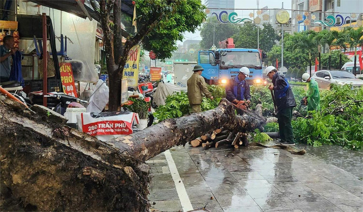 Bão chưa vào đất liền, nhiều cây xanh ở TP Thanh Hóa đã đổ, gãy - Ảnh 1.