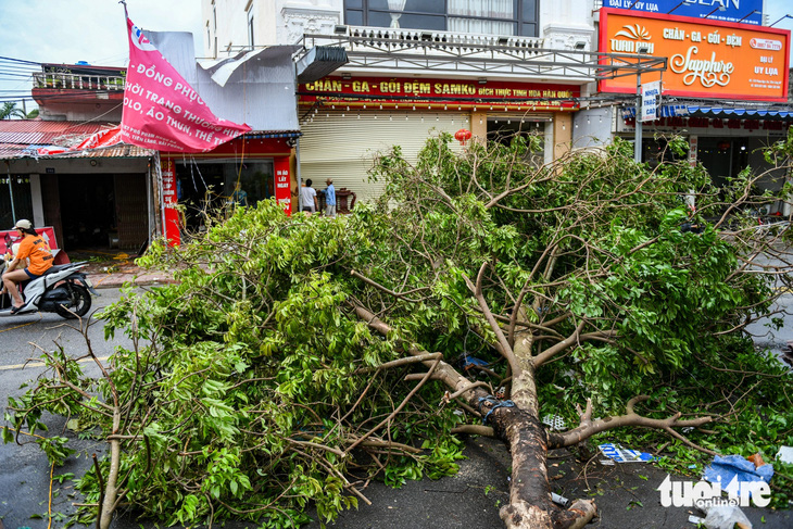 Ngoại thành Hải Phòng mái tôn bay la liệt ra đường sau bão số 3 - Ảnh 10.