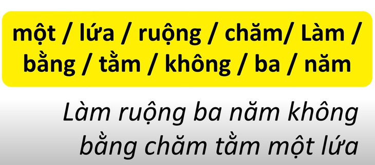 Thử tài tiếng Việt: Sắp xếp các từ sau thành câu có nghĩa (P125) - Ảnh 1.