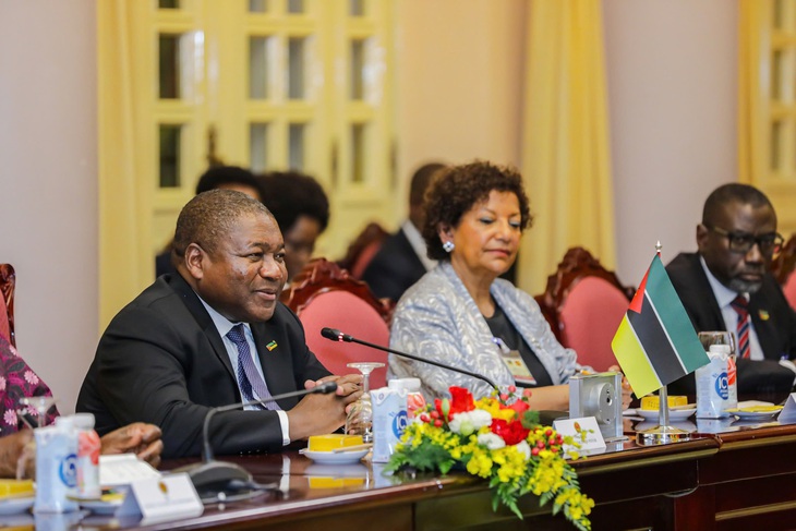 Mozambique muốn Việt Nam hỗ trợ nông nghiệp, đạt thành công như các nước châu Phi khác - Ảnh 3.