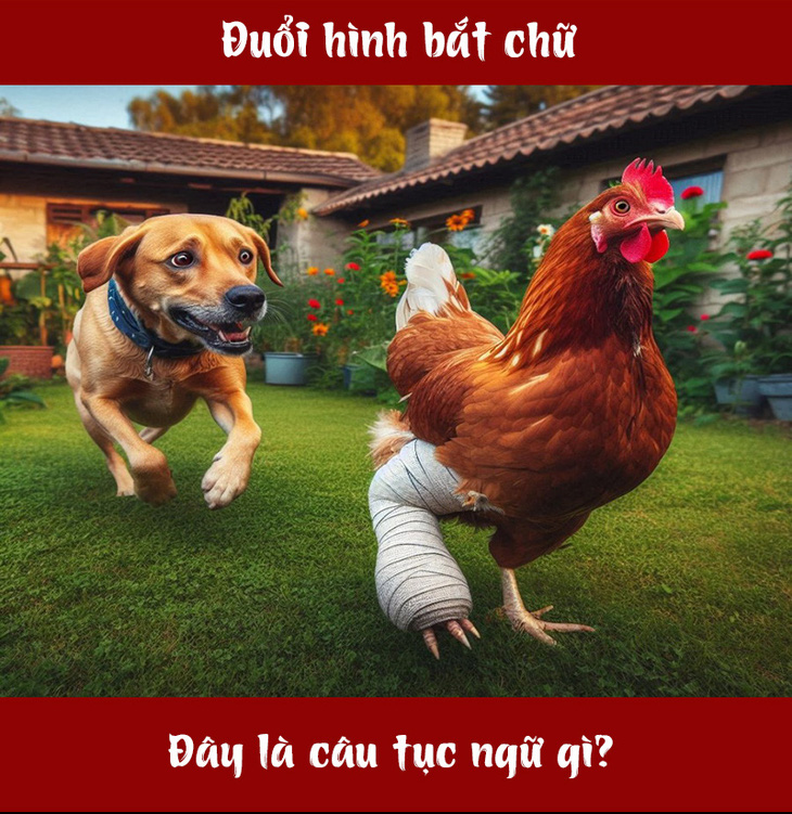 Đây là câu tục ngữ gì? - Ảnh 1.