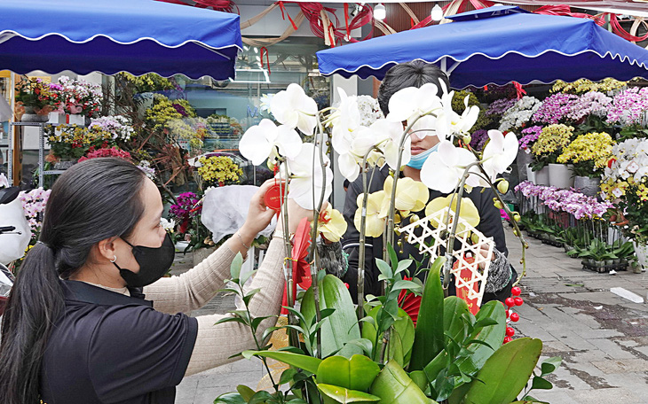 Ớt kiểng Nha Trang 'điền chỗ trống' hoa Tết - Ảnh 3.