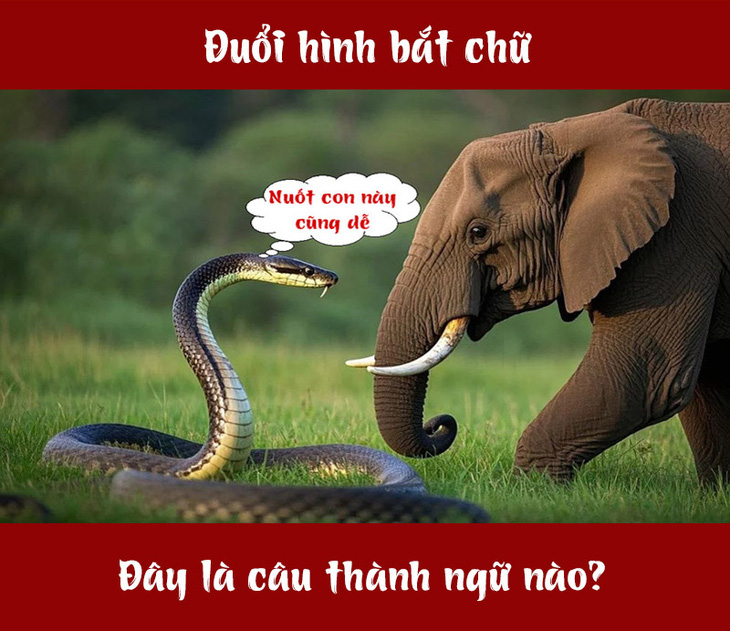 Thành ngữ nào liên quan đến rắn và voi? - Ảnh 1.