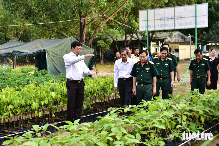 Một triệu cây xanh vì biển đảo Tổ quốc - Ảnh 3.