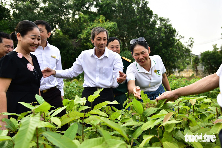 Hãy cùng nhau thực hiện “ước mơ xanh” cho quê hương Việt Nam - Ảnh 6.