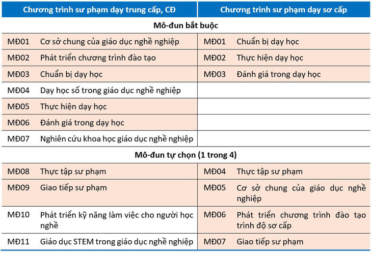 Thay đổi tiêu chuẩn giáo viên dạy thực hành lái xe: Cao hay thấp hơn? - Ảnh 2.