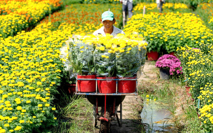 Mẹ còn quét sân bao nhiêu tết nữa? - Ảnh 5.