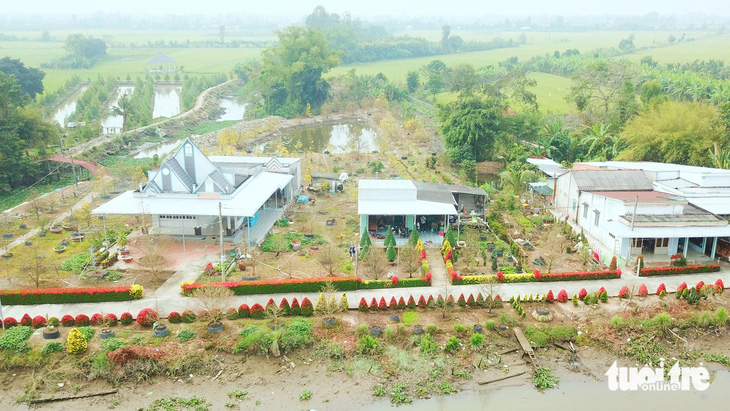 Hàng rào bông trang khoe sắc đón Tết - Ảnh 4.