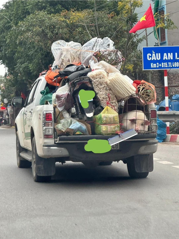 Ảnh vui 26-1: 'Nhân bánh chưng' trông hơi buồn... - Ảnh 1.