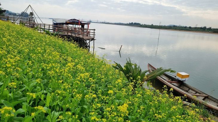 Du xuân, ghé Quảng Ngãi nhớ 'Đi về nơi có gió' - Ảnh 2.