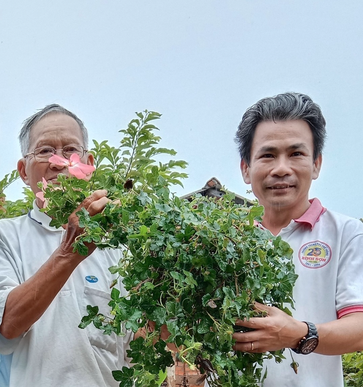 Đi tìm loài sâm tiến vua tưởng chừng đã tuyệt chủng - Ảnh 1.