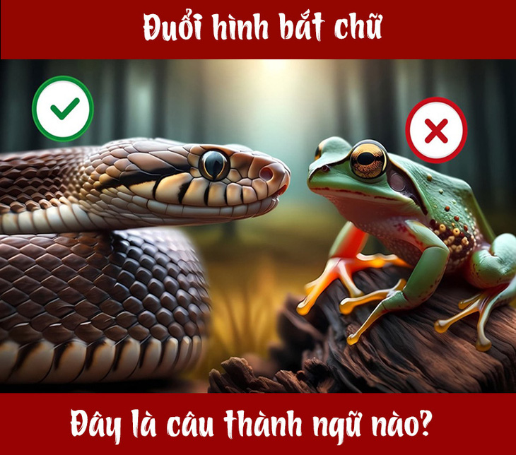 Câu thành ngữ gì liên quan đến rắn và ếch? - Ảnh 1.