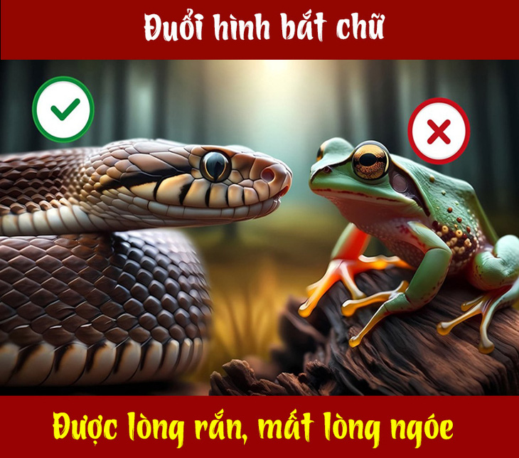 Câu thành ngữ gì liên quan đến rắn và ếch? - Ảnh 1.