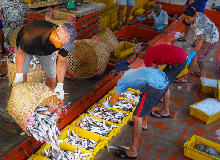 Đánh bắt xa bờ, ghe tàu neo lại gần nhau để cùng có cảm giác ăn Tết trên biển  - Ảnh 6.