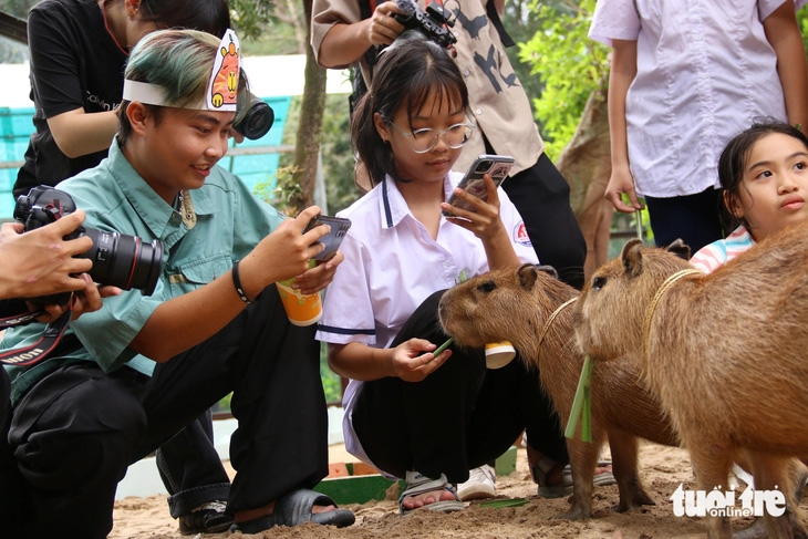 'Giao lưu' với gia đình 'bộ ngoại giao' capybara tại Thảo cầm viên - Ảnh 2.