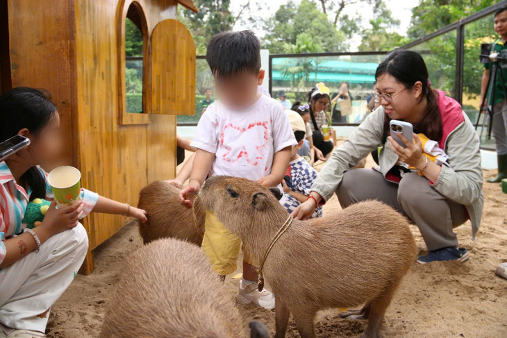 'Giao lưu' với gia đình 'bộ ngoại giao' capybara tại Thảo cầm viên - Ảnh 5.