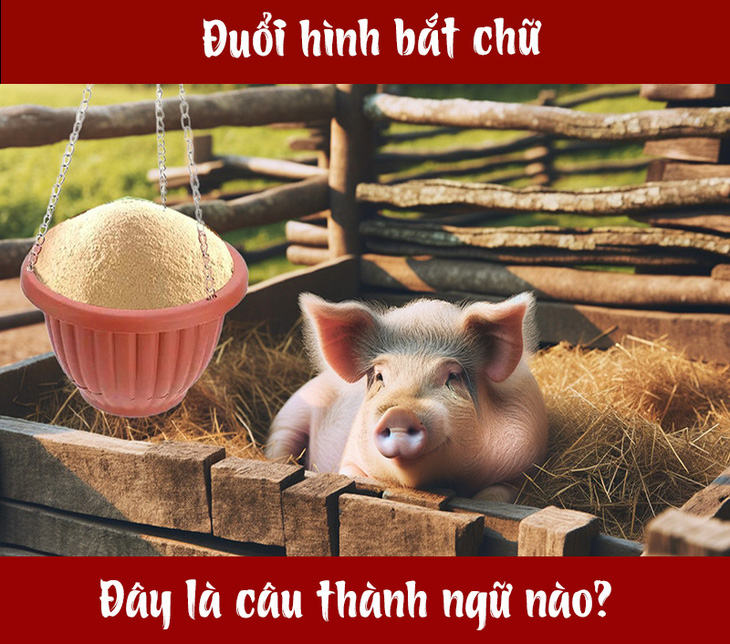 Câu tục ngữ, thành ngữ 'khó nhằn' này là gì? (P82) - Ảnh 1.