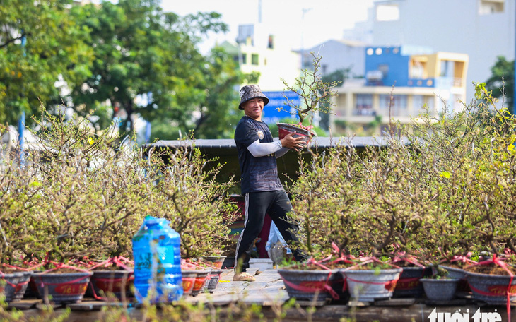 Chuyến tàu “chở mùa xuân” ra hải đảo - Ảnh 9.