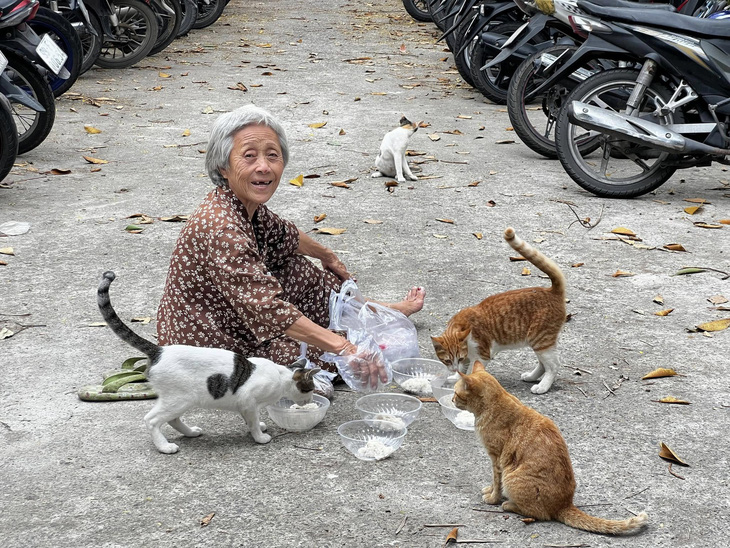 Thảo cầm viên đã 'căng': kiện người vu khống 'bắt mèo hoang cho cá sấu ăn' - Ảnh 2.