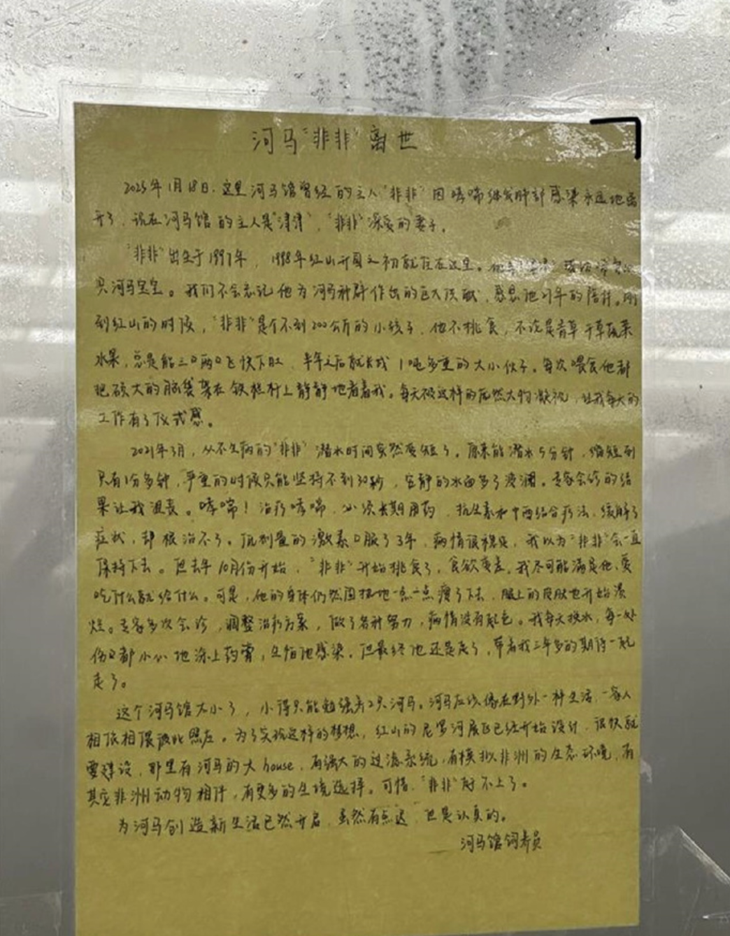  Cáo phó viết tay dành cho chú hà mã vừa qua đời - Ảnh 2.