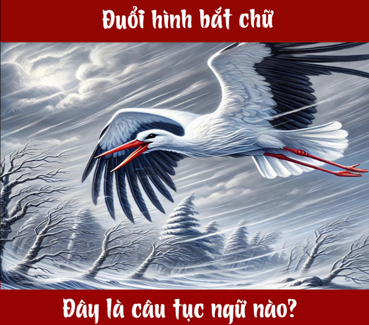 Câu tục ngữ, thành ngữ 'khó nhằn' này là gì? (P89) - Ảnh 1.