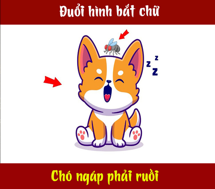 Câu tục ngữ, thành ngữ 'khó nhằn' này là gì? (P91) - Ảnh 1.