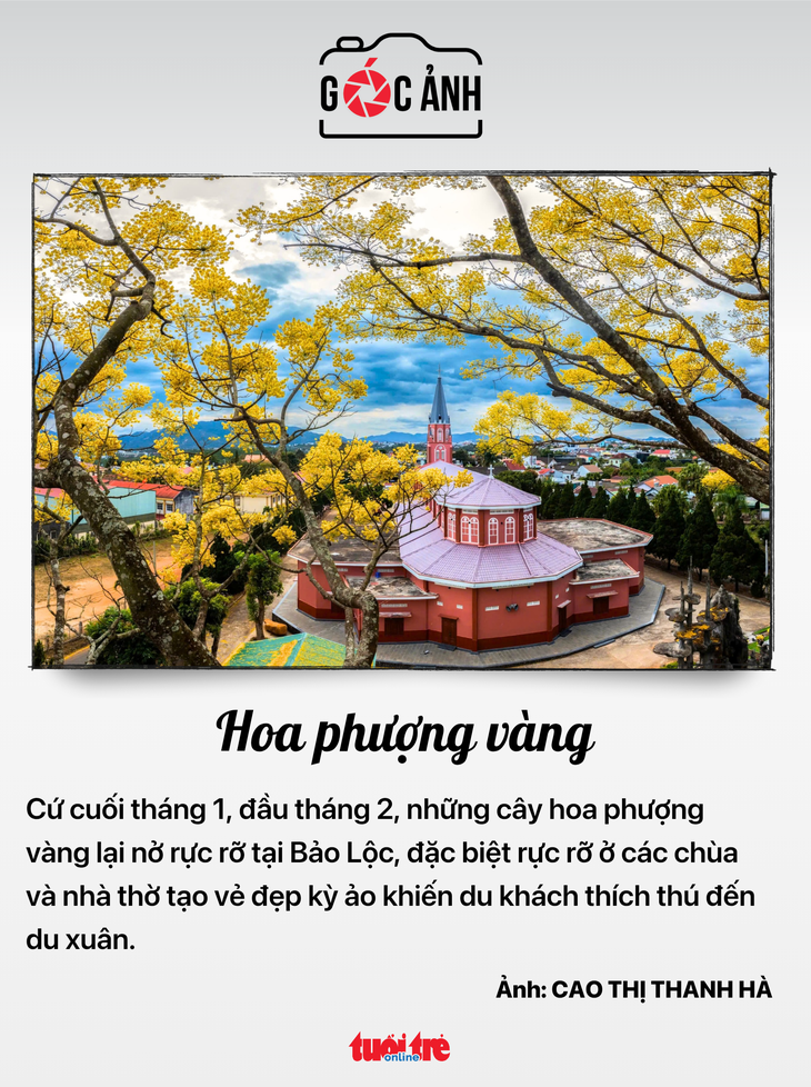 Tin tức sáng 13-2: Xử lý nghiêm bán thuốc cúm A không đơn; Đông Nam Bộ ít hộ nghèo nhất nước - Ảnh 8.