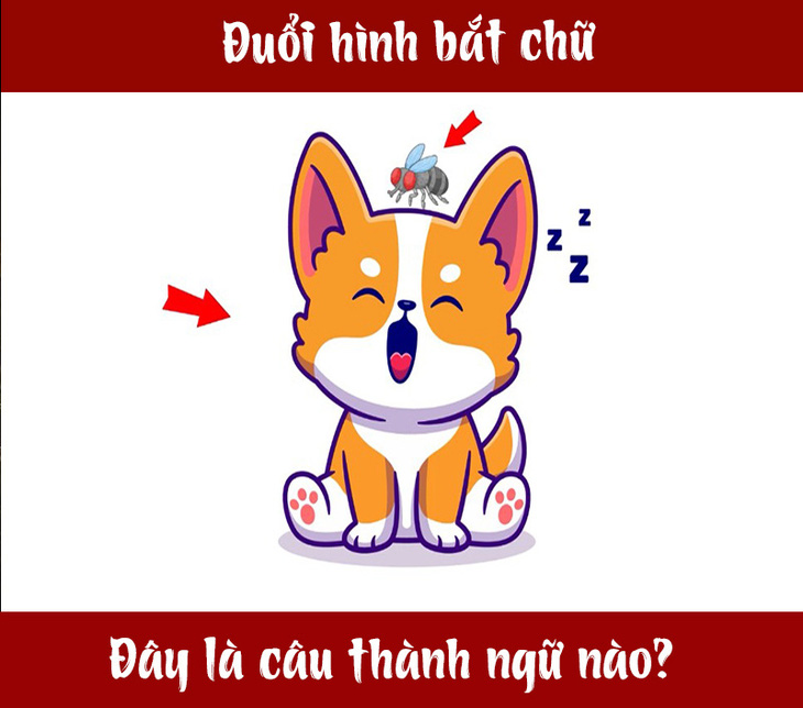 Câu tục ngữ, thành ngữ 'khó nhằn' này là gì? (P91) - Ảnh 1.