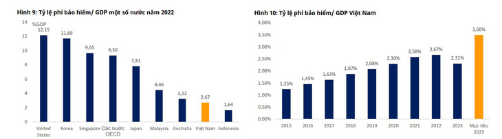 Bảo hiểm nhân thọ nội địa chung tay vì tăng trưởng kinh tế - Ảnh 1.