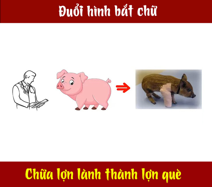 Câu tục ngữ, thành ngữ 'khó nhằn' này là gì? (P94) - Ảnh 1.