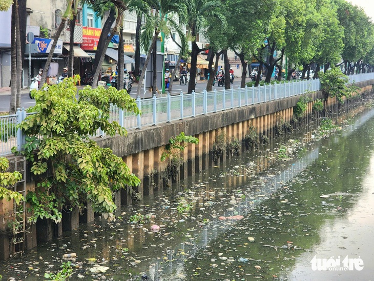 Rác, cá chết trên kênh Nhiêu Lộc - Thị Nghè bốc mùi hôi khó chịu - Ảnh 8.